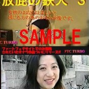 ht - 003 ftc turbo ftc turbo