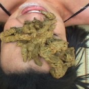 sd-191-1 for that, you get the works newscatinbrazil