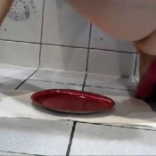 newmodel2 2014 scat collection efrodisiac edsc