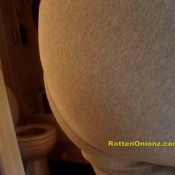 spongebob rottenonionz