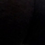 lm t pov farts - fart collection