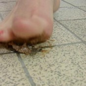 spitting girls mercedes 04 hd