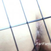 brandy gomez 2 fartfantasy