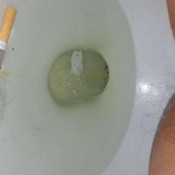 pooping pissing and just being nasty 20150221 224136 asian puca