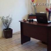 dom-princess - scat-princess - another day in the office part 5 britany scat-princess dom-princess