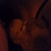 hotpantyhosepoop the fart babes