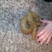 #22 release on carpet hd pocahontasdoll