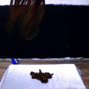 panty poop and toilet session! princess millie! scatdesire angelica scat