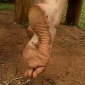 clean monalizas dirty feetfull brazil feet