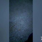 powerful projectile shits voodoovixen