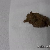 sarah floor shit (hd) sarah nilson