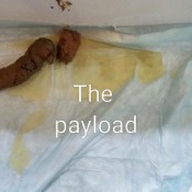 poop and pee on a dildo hd amberbooty