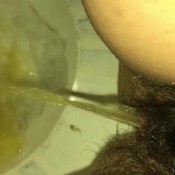 fart pee hd bigbootypanties