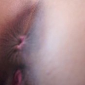 asshole is your religion hd hd rosie reed