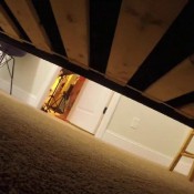 caught sniffing anabelles adventures