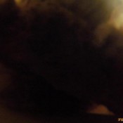 covering you in shit! hd veronica steam