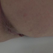 bon appetit hd hotdirtyivone