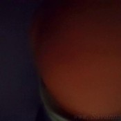 dirty farts hd savannah fox