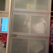 desperately trying to answer to you hd kinkycat