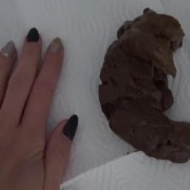 i made shit wide as my hand!! hd hotdirtyivone