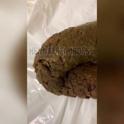 hennathegoddess lovely log of shit