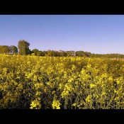 i love nature! hd miaroxxx