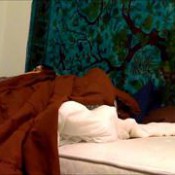 pet food farts miamorr