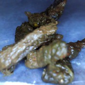 constipation edition: omg it wouldn`t come out kalasextoncb