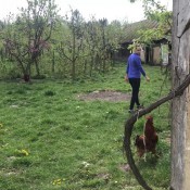 pee on my village house stairs hd raketka2000