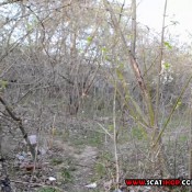 Spring Walk In The Woods . Nature Had To Pee HD Modelnatalya94