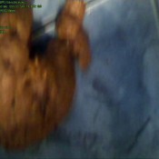 wide long shit thefartbabes the fart babes