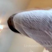 jolie shawen and mina monet 4 at lesbianassworship