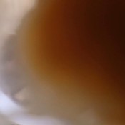 liters of vomit a hotdirtyivone