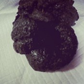 churning out turds loverachelle2