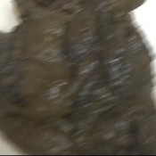 angie shit diner hotdirtyivone