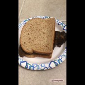 8+inch thick log becomes your sandwich hd softservequeen