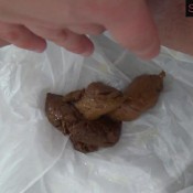 lick ass poo hd sexy flatulence