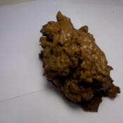 leopard leggings tease squatting poop hd janet diabolic sigal