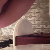 huge turds squeezed out after summer bbq sojourner