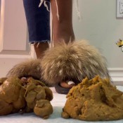 cum for my shit hd mistressmystique