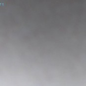 orangish logs in the woods hd goddesslucy