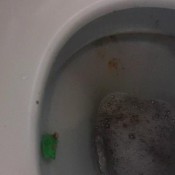 hump day coffee dump hd demonadragon