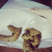 show off shit and feet hd loverachelle2