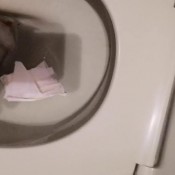 natural girl in toilet peeing and pooping hd badkithy