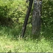 solo scat girls total amateur girl julia and amateur big natural tits girl isabella - camera amateur sg-video