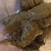 floral dress no panties tina amazon