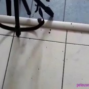 ppv bare ass shitting compilation peteuse