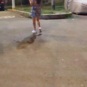 cholado with milk mmm i love it sarathonson