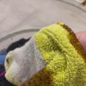 loud shitting and pissing in laundry basket hd yourfantasy6190