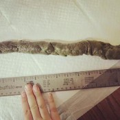 loverachelle2 foot and a half long! 18 inches